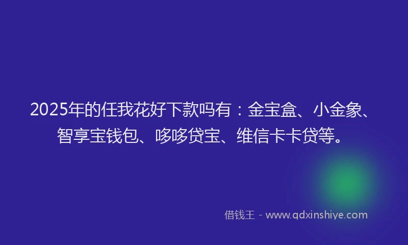 2025年的任我花好下款吗有:金宝盒、小金象、智享宝钱包、哆哆贷宝、维信卡卡贷等。