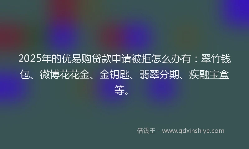 2025年的优易购贷款申请被拒怎么办有：翠竹钱包、微博花花金、金钥匙、翡翠分期、疾融宝盒等。