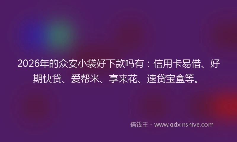 2026年的众安小袋好下款吗有：信用卡易借、好期快贷、爱帮米、享来花、速贷宝盒等。