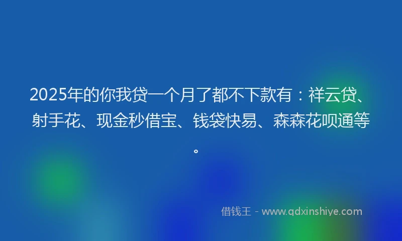 2025年的你我贷一个月了都不下款有:祥云贷、射手花、现金秒借宝、钱袋快易、森森花呗通等。