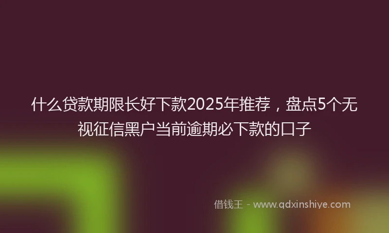 什么贷款期限长好下款2025年推荐，盘点5个无视征信黑户当前逾期必下款的口子