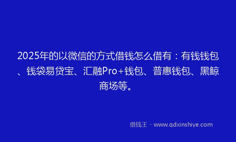 2025年的以微信的方式借钱怎么借有:有钱钱包、钱袋易贷宝、汇融Pro+钱包、普惠钱包、黑鲸商场等。