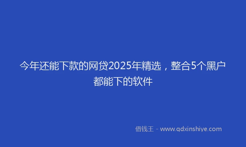 今年还能下款的网贷2025年精选，整合5个黑户都能下的软件