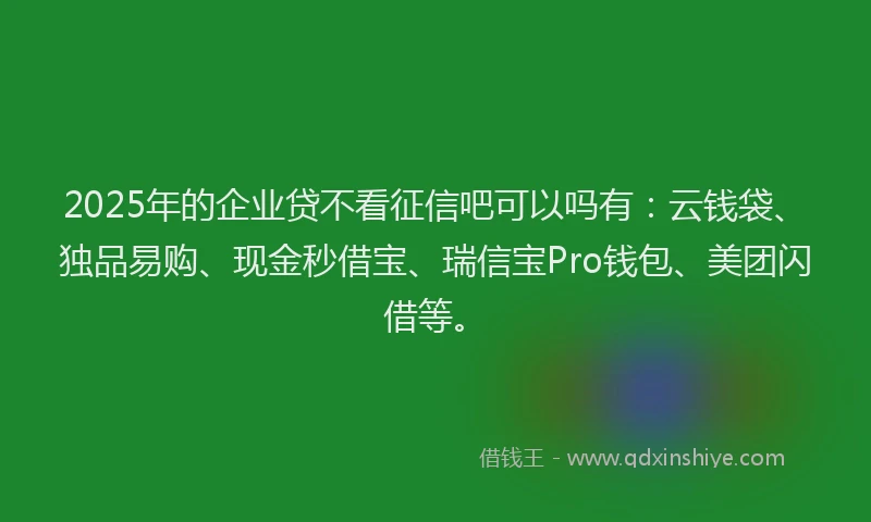 2025年的企业贷不看征信吧可以吗有：云钱袋、独品易购、现金秒借宝、瑞信宝Pro钱包、美团闪借等。