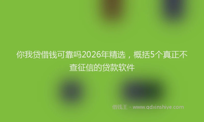 你我贷借钱可靠吗2026年精选，概括5个真正不查征信的贷款软件