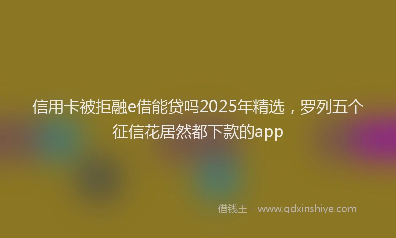 信用卡被拒融e借能贷吗2025年精选，罗列五个征信花居然都下款的app