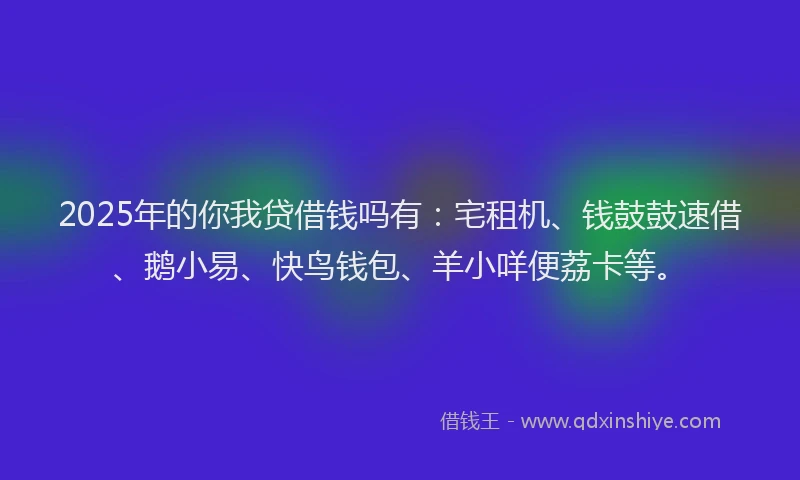 2025年的你我贷借钱吗有：宅租机、钱鼓鼓速借、鹅小易、快鸟钱包、羊小咩便荔卡等。