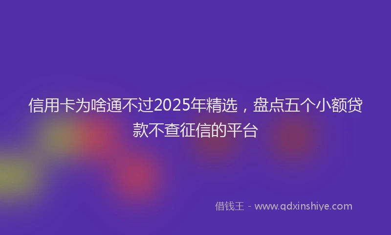 信用卡为啥通不过2025年精选，盘点五个小额贷款不查征信的平台