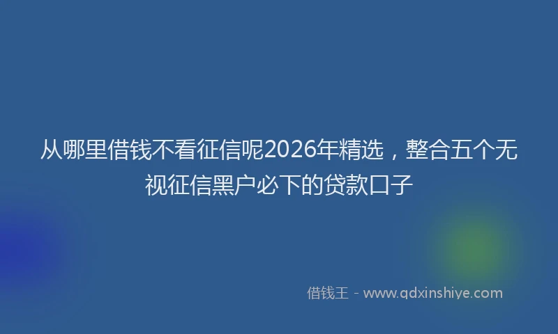 从哪里借钱不看征信呢2026年精选，整合五个无视征信黑户必下的贷款口子