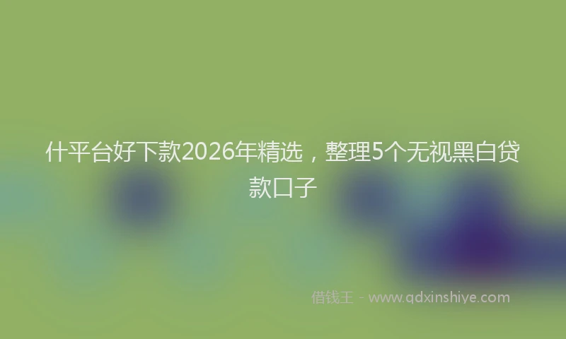 什平台好下款2026年精选，整理5个无视黑白贷款口子