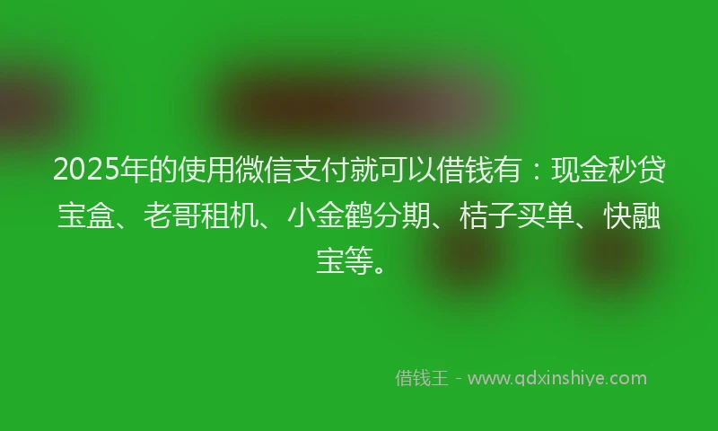 2025年的使用微信支付就可以借钱有：现金秒贷宝盒、老哥租机、小金鹤分期、桔子买单、快融宝等。