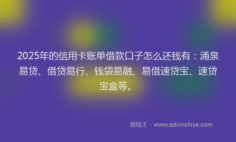 2025年的信用卡账单借款口子怎么还钱有：涌泉易贷、借贷易行、钱袋易融、易借速贷宝、速贷宝盒等。