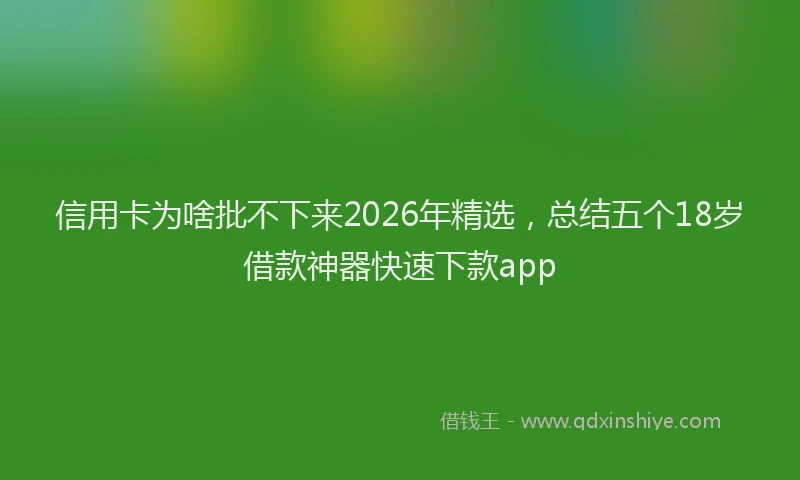信用卡为啥批不下来2026年精选，总结五个18岁借款神器快速下款app