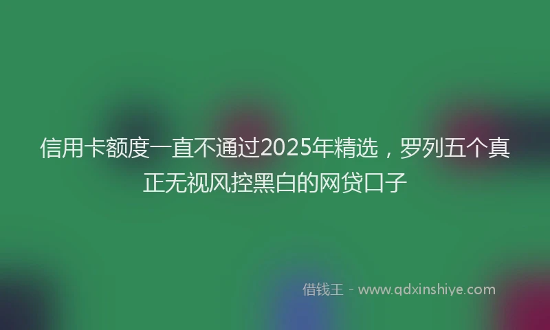 信用卡额度一直不通过2025年精选,罗列五个真正无视风控黑白的网贷口子
