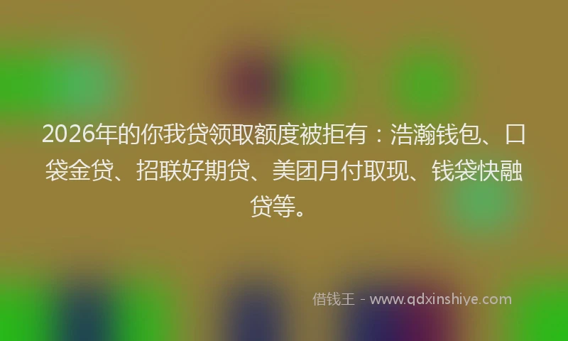 2026年的你我贷领取额度被拒有:浩瀚钱包、口袋金贷、招联好期贷、美团月付取现、钱袋快融贷等。