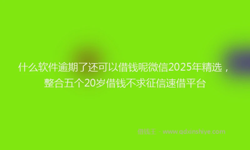 什么软件逾期了还可以借钱呢微信2025年精选，整合五个20岁借钱不求征信速借平台