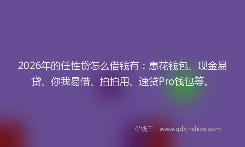 2026年的任性贷怎么借钱有：惠花钱包、现金易贷、你我易借、拍拍用、速贷Pro钱包等。