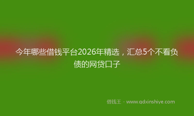 今年哪些借钱平台2026年精选，汇总5个不看负债的网贷口子