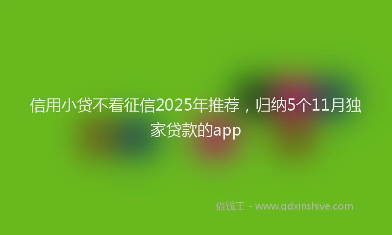 信用小贷不看征信2025年推荐，归纳5个11月独家贷款的app