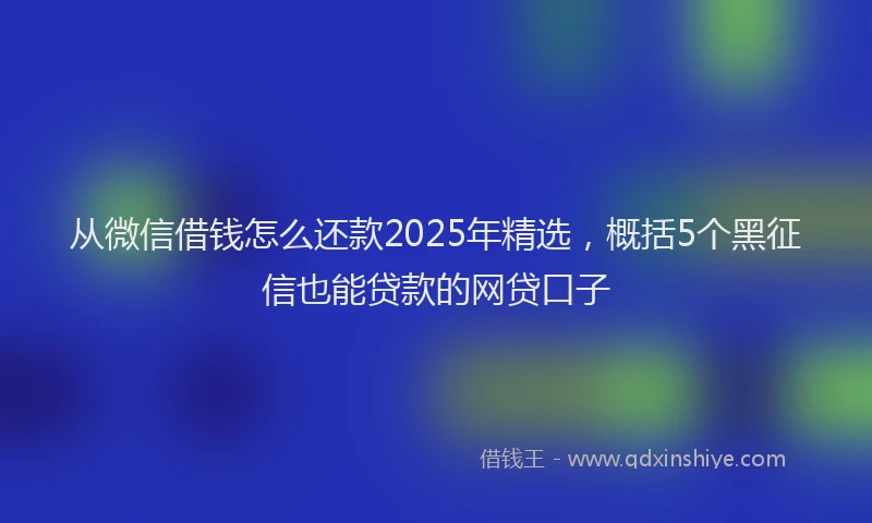 从微信借钱怎么还款2025年精选,概括5个黑征信也能贷款的网贷口子