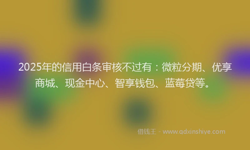 2025年的信用白条审核不过有：微粒分期、优享商城、现金中心、智享钱包、蓝莓贷等。