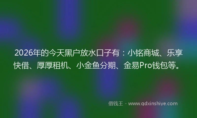 2026年的今天黑户放水口子有:小铭商城、乐享快借、厚厚租机、小金鱼分期、金易Pro钱包等。