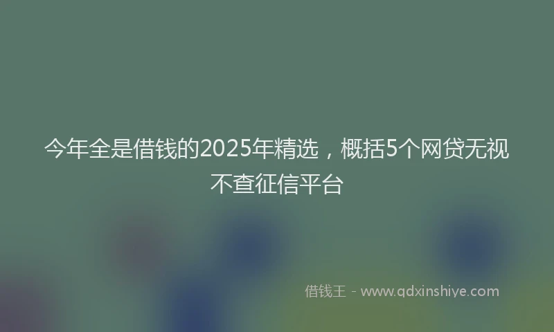 今年全是借钱的2025年精选，概括5个网贷无视不查征信平台