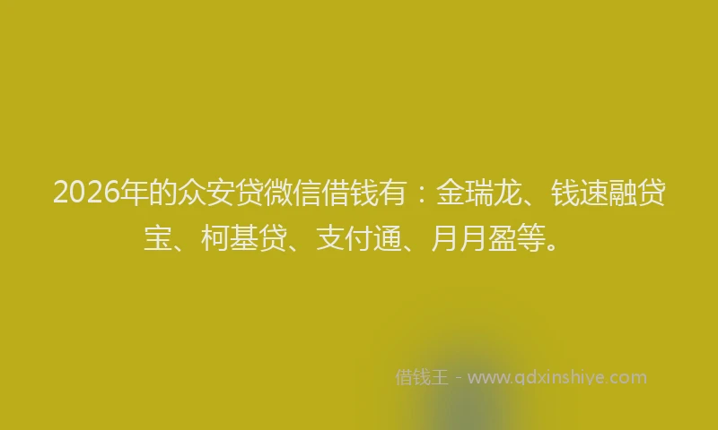 2026年的众安贷微信借钱有：金瑞龙、钱速融贷宝、柯基贷、支付通、月月盈等。
