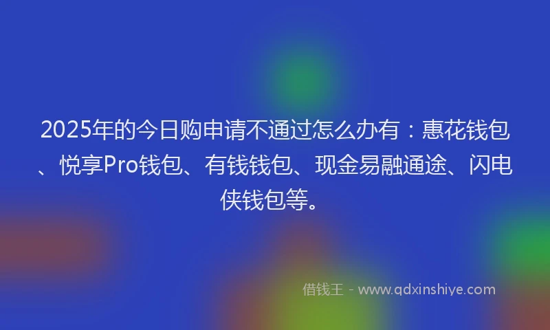 2025年的今日购申请不通过怎么办有：惠花钱包、悦享Pro钱包、有钱钱包、现金易融通途、闪电侠钱包等。