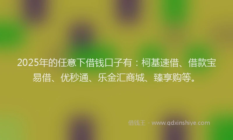 2025年的任意下借钱口子有:柯基速借、借款宝易借、优秒通、乐金汇商城、臻享购等。