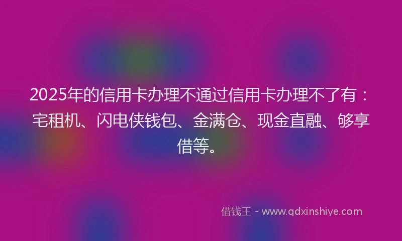2025年的信用卡办理不通过信用卡办理不了有：宅租机、闪电侠钱包、金满仓、现金直融、够享借等。