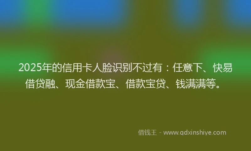 2025年的信用卡人脸识别不过有：任意下、快易借贷融、现金借款宝、借款宝贷、钱满满等。