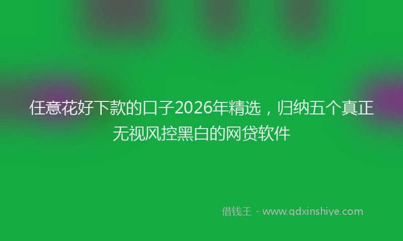 任意花好下款的口子2026年精选，归纳五个真正无视风控黑白的网贷软件