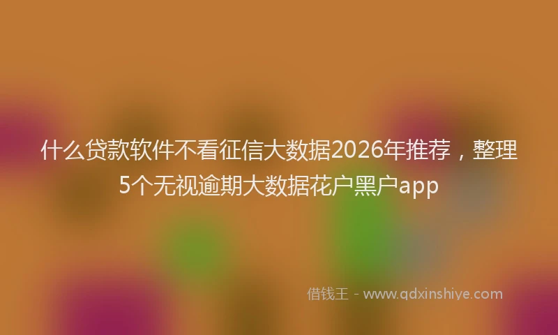什么贷款软件不看征信大数据2026年推荐，整理5个无视逾期大数据花户黑户app