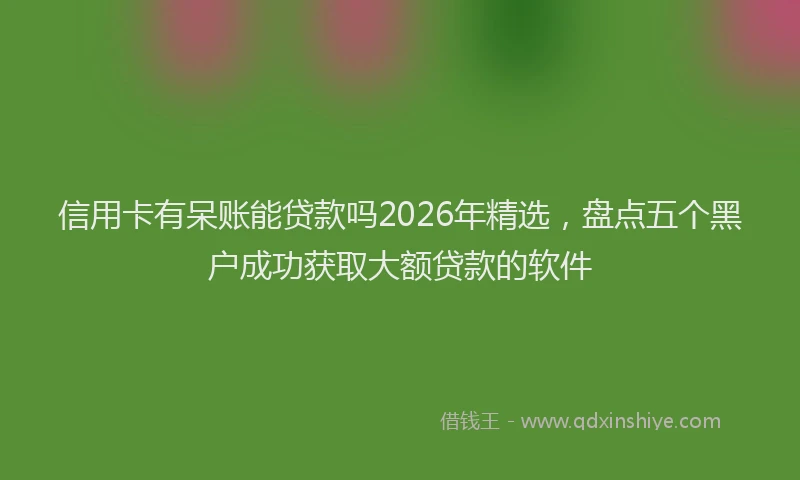 信用卡有呆账能贷款吗2026年精选，盘点五个黑户成功获取大额贷款的软件