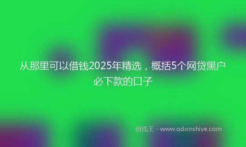 从那里可以借钱2025年精选,概括5个网贷黑户必下款的口子