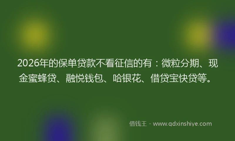 2026年的保单贷款不看征信的有：微粒分期、现金蜜蜂贷、融悦钱包、哈银花、借贷宝快贷等。