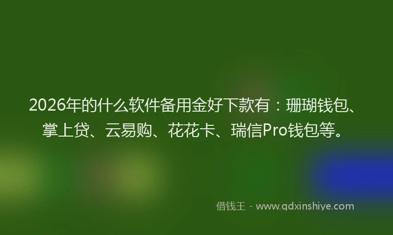 2026年的什么软件备用金好下款有：珊瑚钱包、掌上贷、云易购、花花卡、瑞信Pro钱包等。