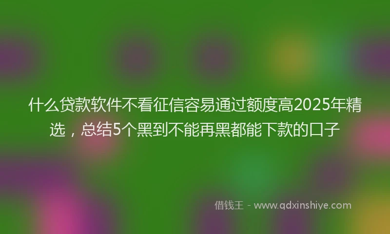 什么贷款软件不看征信容易通过额度高2025年精选，总结5个黑到不能再黑都能下款的口子