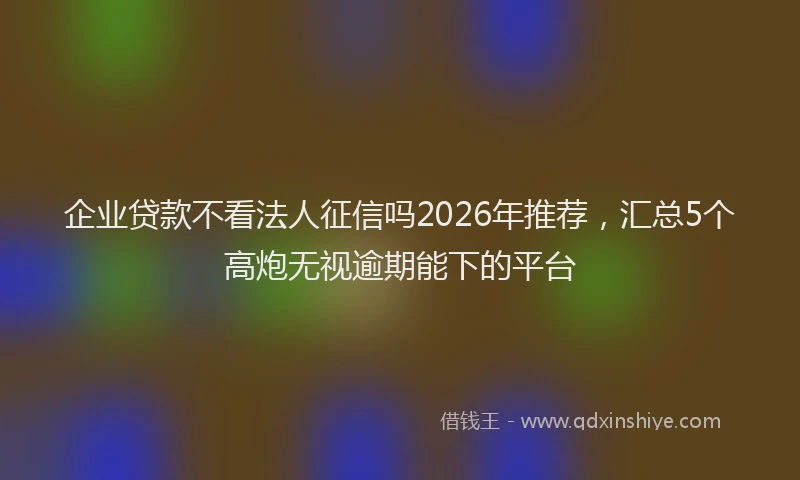 企业贷款不看法人征信吗2026年推荐，汇总5个高炮无视逾期能下的平台