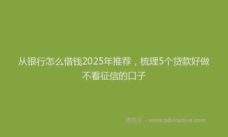 从银行怎么借钱2025年推荐，梳理5个贷款好做不看征信的口子