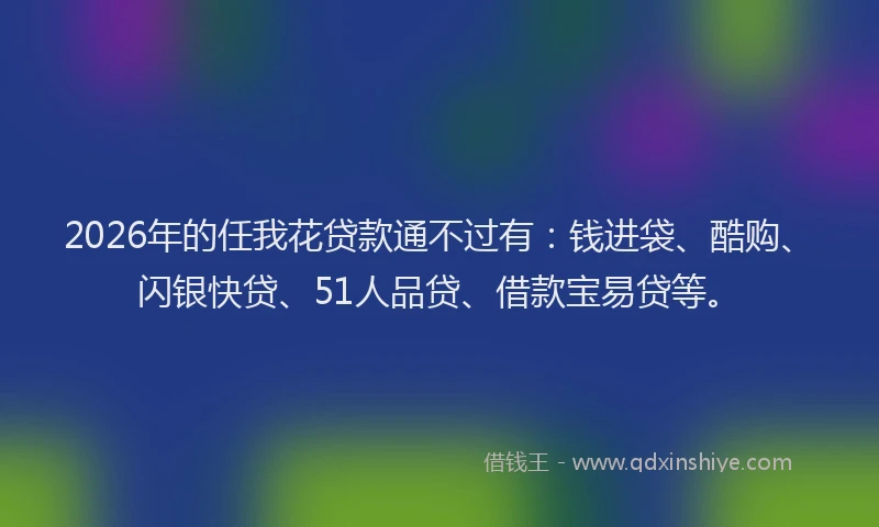 2026年的任我花贷款通不过有:钱进袋、酷购、闪银快贷、51人品贷、借款宝易贷等。