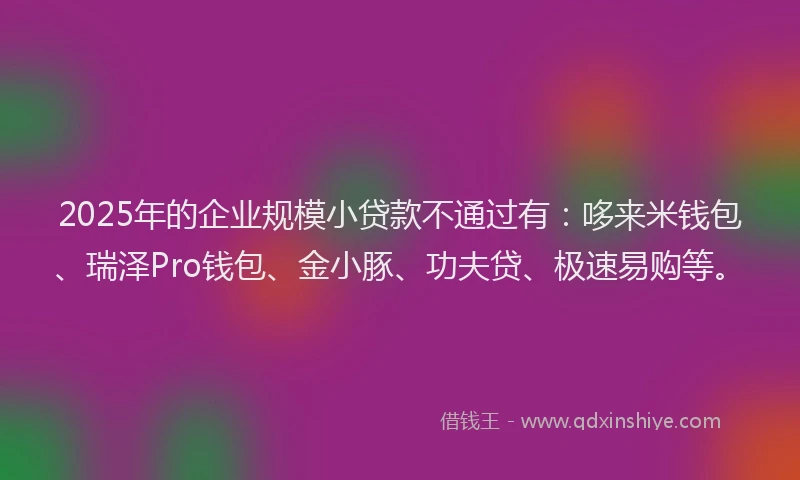2025年的企业规模小贷款不通过有:哆来米钱包、瑞泽Pro钱包、金小豚、功夫贷、极速易购等。