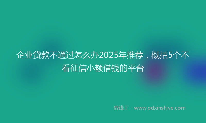 企业贷款不通过怎么办2025年推荐，概括5个不看征信小额借钱的平台