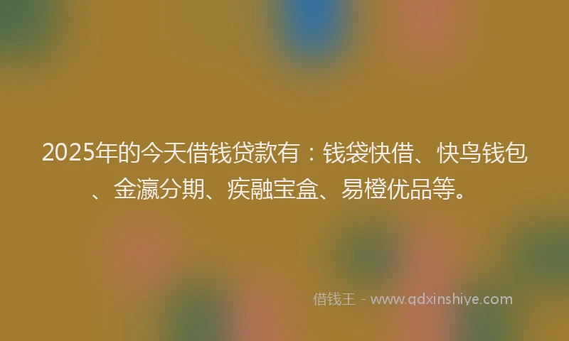 2025年的今天借钱贷款有：钱袋快借、快鸟钱包、金瀛分期、疾融宝盒、易橙优品等。