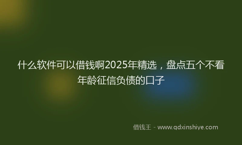 什么软件可以借钱啊2025年精选，盘点五个不看年龄征信负债的口子