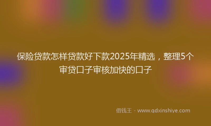 保险贷款怎样贷款好下款2025年精选，整理5个审贷口子审核加快的口子