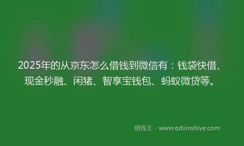 2025年的从京东怎么借钱到微信有：钱袋快借、现金秒融、闲猪、智享宝钱包、蚂蚁微贷等。