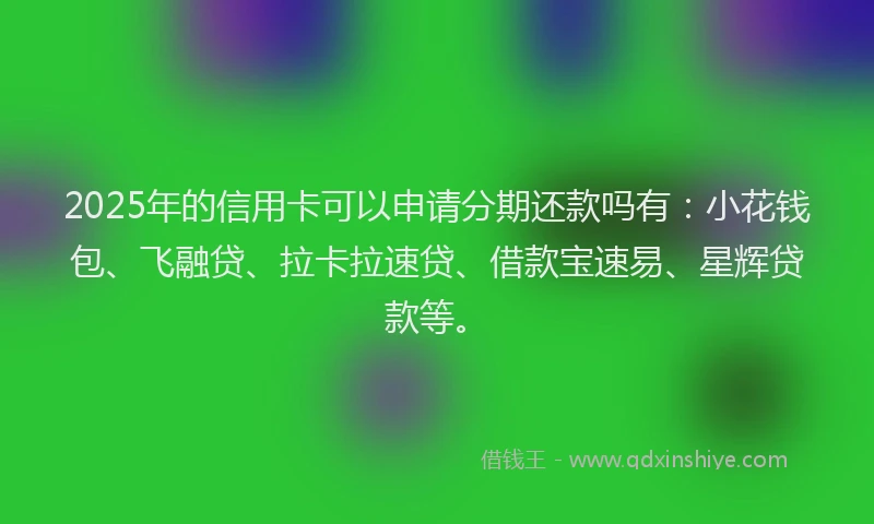 2025年的信用卡可以申请分期还款吗有：小花钱包、飞融贷、拉卡拉速贷、借款宝速易、星辉贷款等。