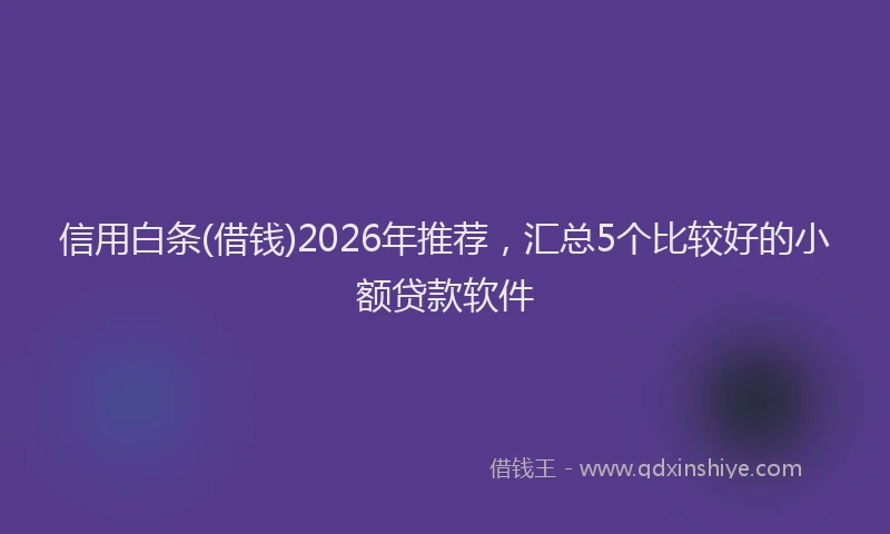 信用白条(借钱)2026年推荐，汇总5个比较好的小额贷款软件